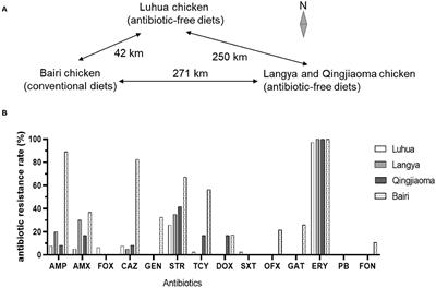 Characteristics of Salmonella From Chinese Native Chicken Breeds Fed on Conventional or Antibiotic-Free Diets